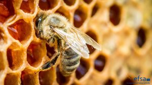 Read more about the article Elindult új weboldalunk